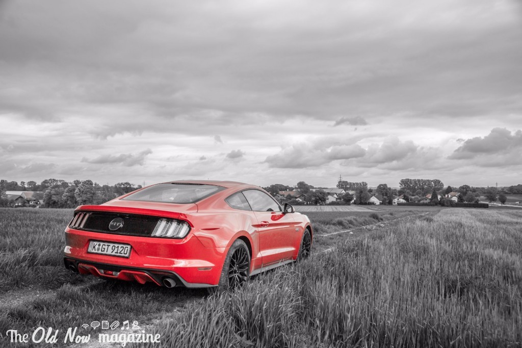 Ford Mustang (19)