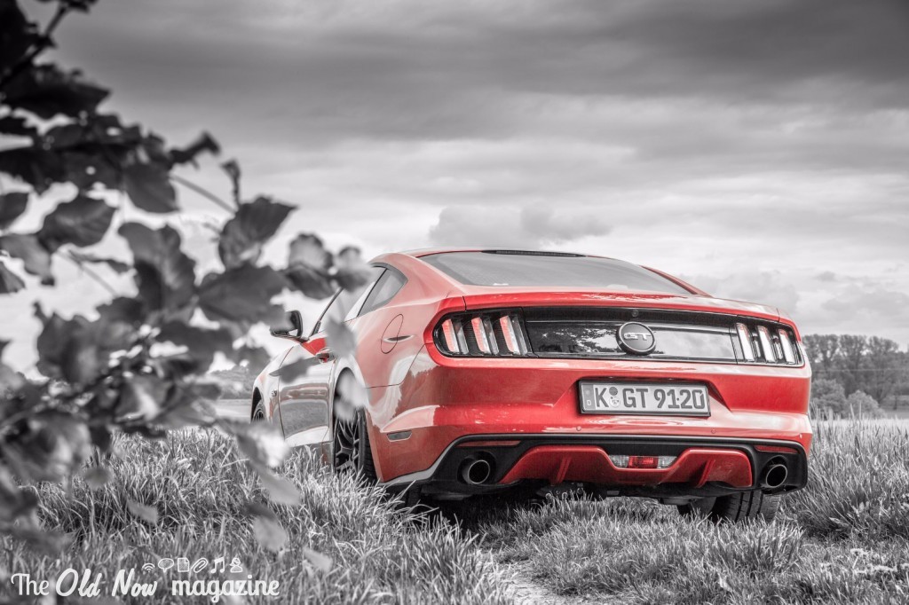 Ford Mustang (20)