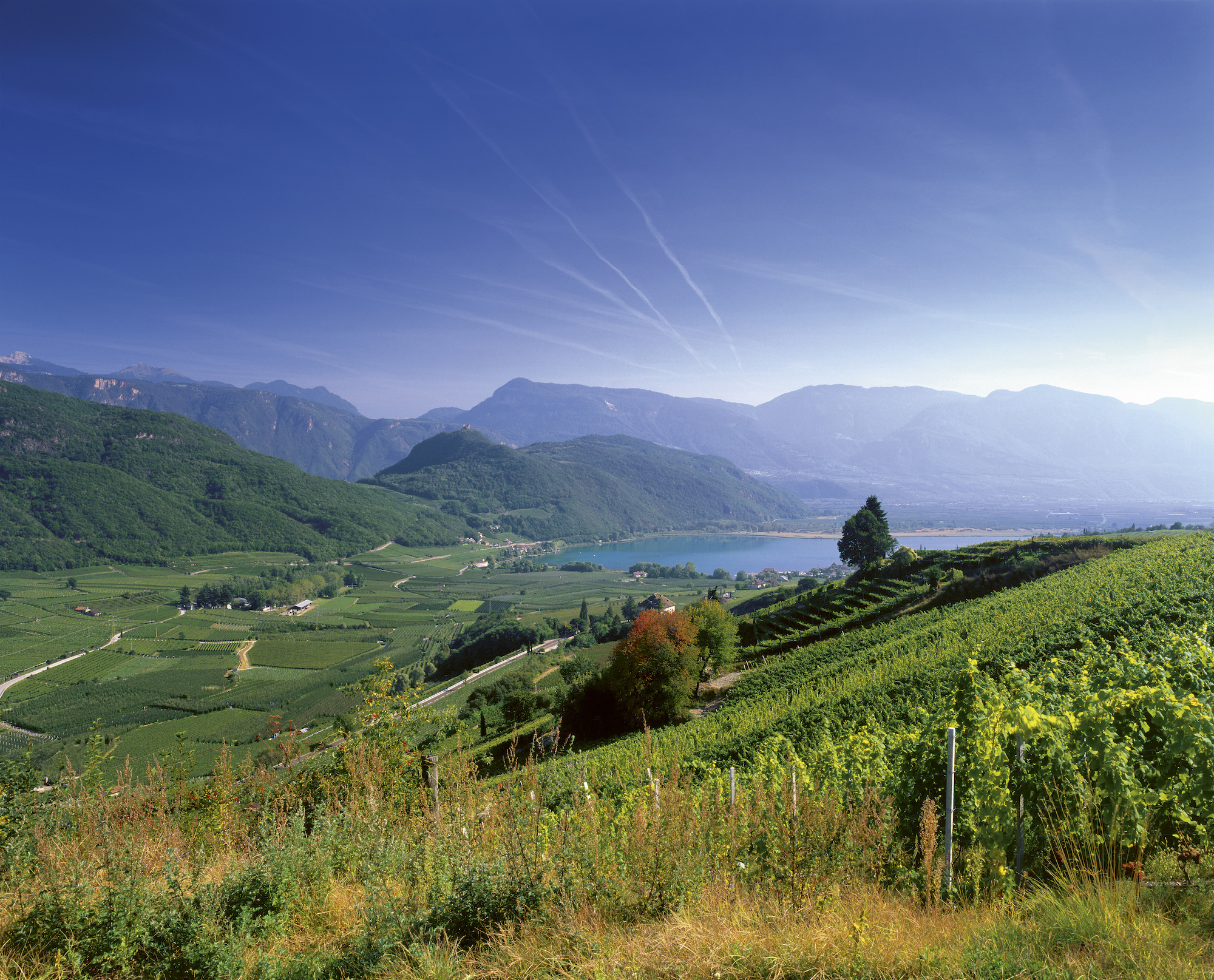 Farbenprächtig hält der Herbst Einzug in Südtirols Süden. Die sonnigen Weinberge in Unterland und Überetsch laden zum Wandern und Genießen ein.